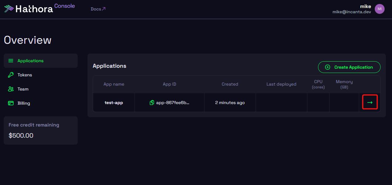 Select the target application from console.hathora.dev/overview